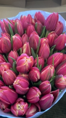 Can Flowers Really Improve your Mood